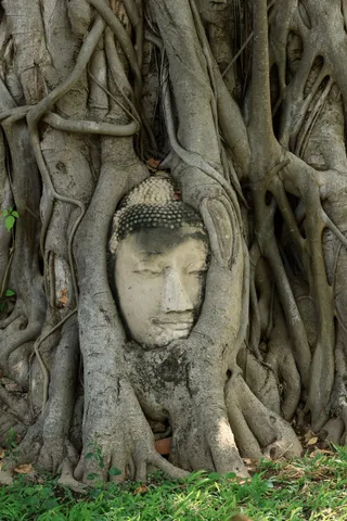 Wat Mahathat