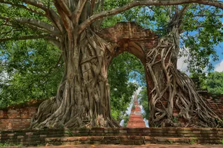 Wat Phra Ngam