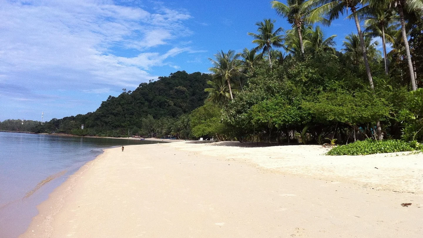 White sand and coconut palms beside the calm blue sea on Koh Chang