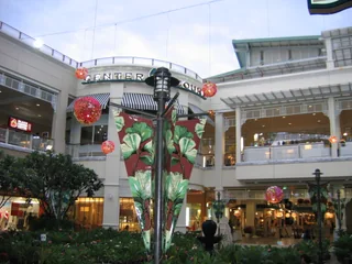 Market Village