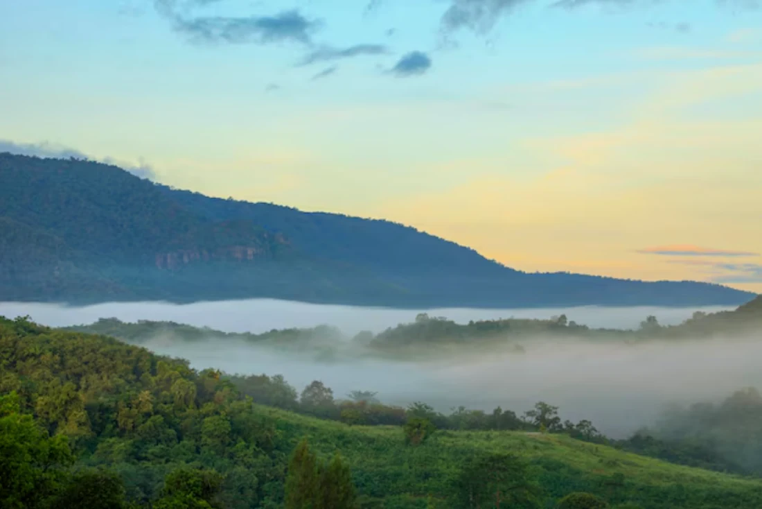 Morning mist drifting through a green mountain valley in Khao Yai beneath a pale blue and golden sky